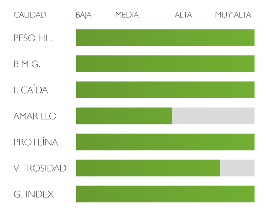 calidad trigo duro antalis