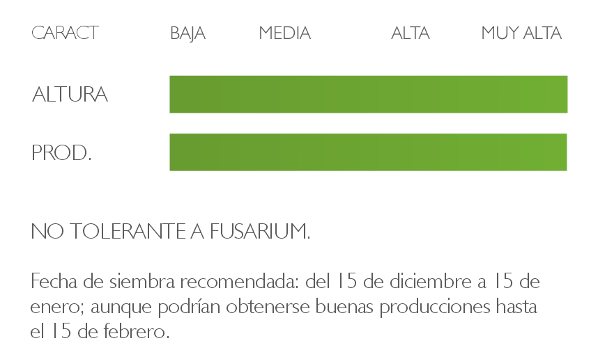 calidad garbanzo