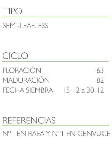 informacion guisantes