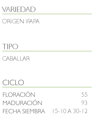 informacion haboncillo