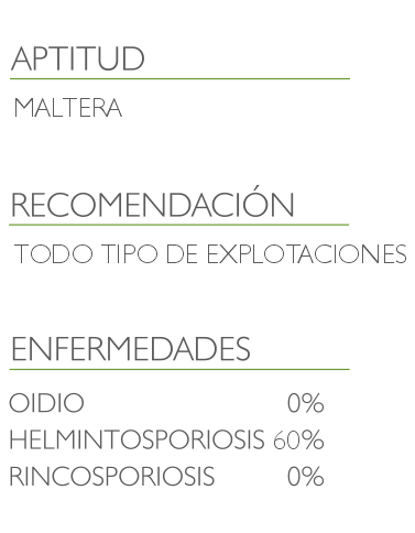 informacion cebada fantex