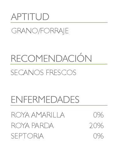 informacion triticale coplac