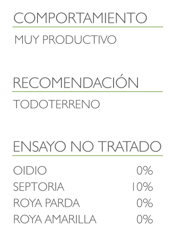 informacion trigo duro antalis