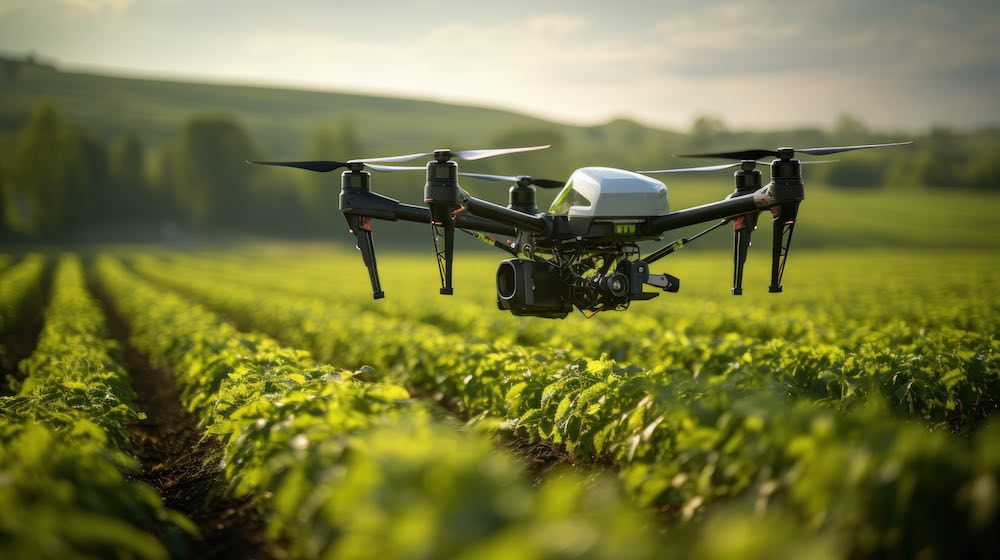 dron analizando los cultivos