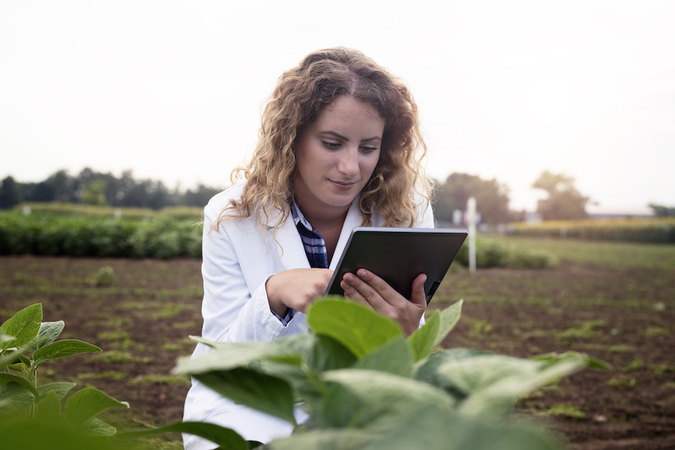 mujer haciendo estrategia para cultivos en cambio climatico