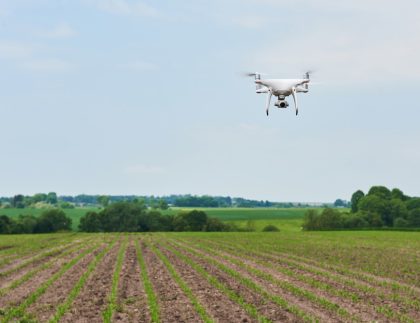 drones en la agricultura ayudando a mejorar los cultivos
