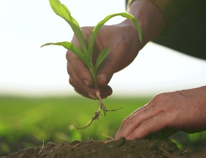 Siembra guiada y su influencia en el cambio climático