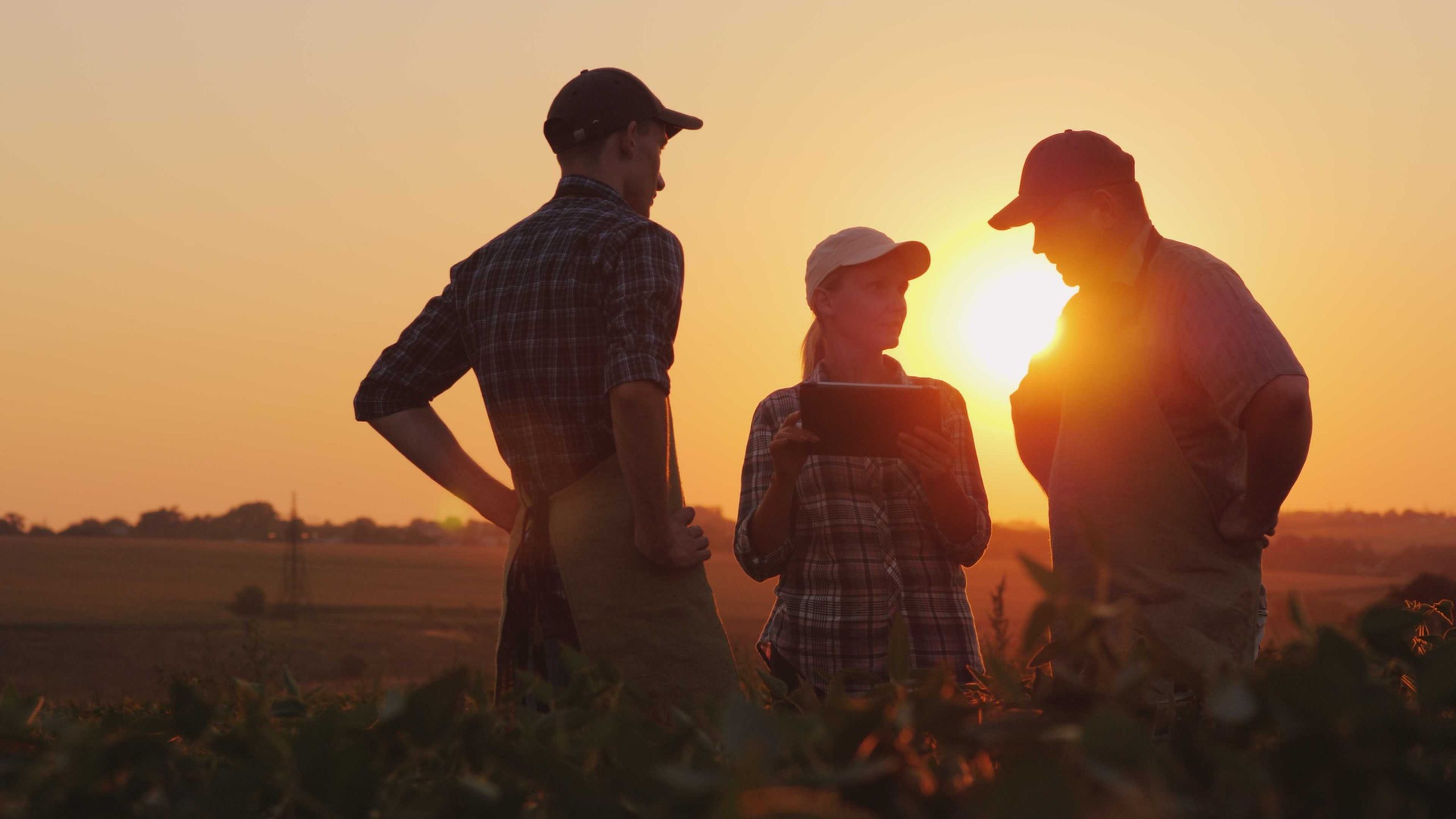 Imagen de agricultores de una cooperativa reunidos en el campo