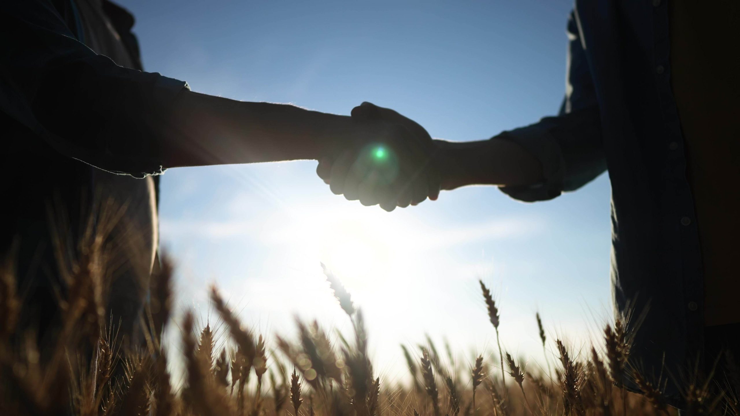 Imagen de dos agricultores dándose la mano