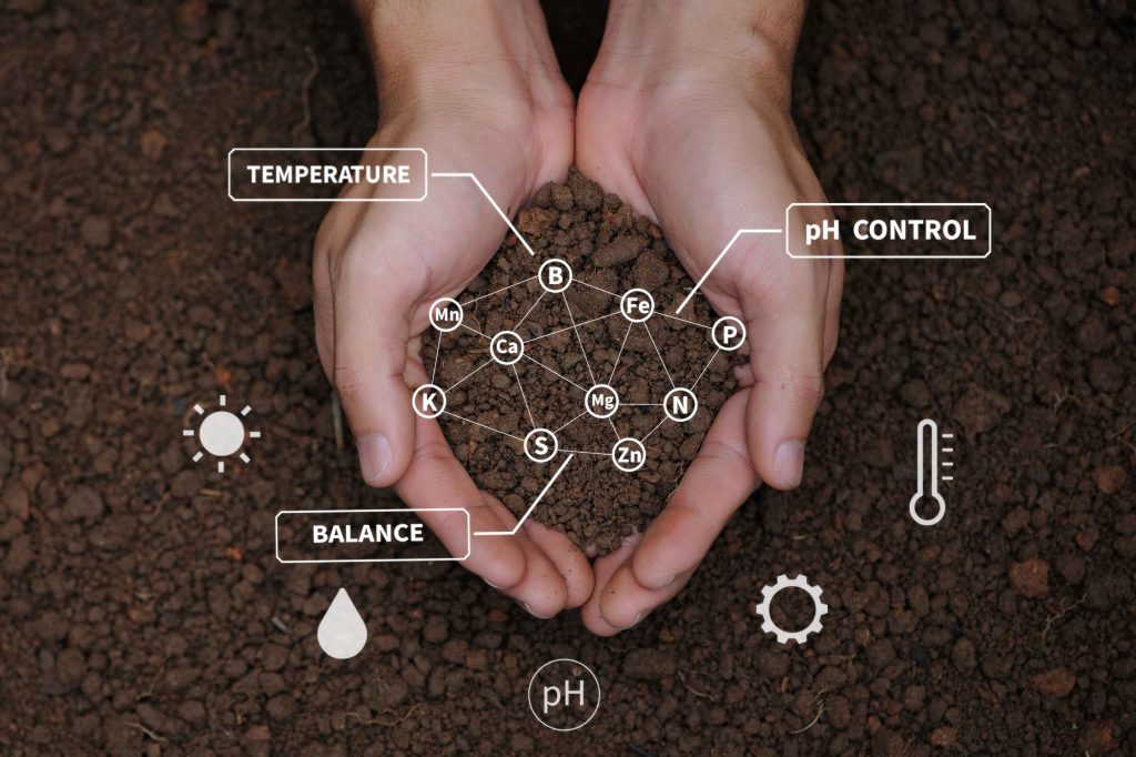 Imagen de representación de análisis del suelo para una correcta fertilización