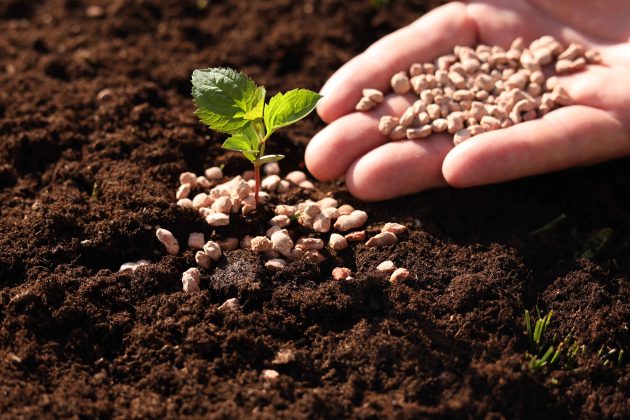 Imagen de suelo con fertilizante