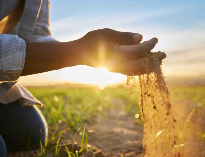 Imagen de manos de agricultor tocando tierra en el campo