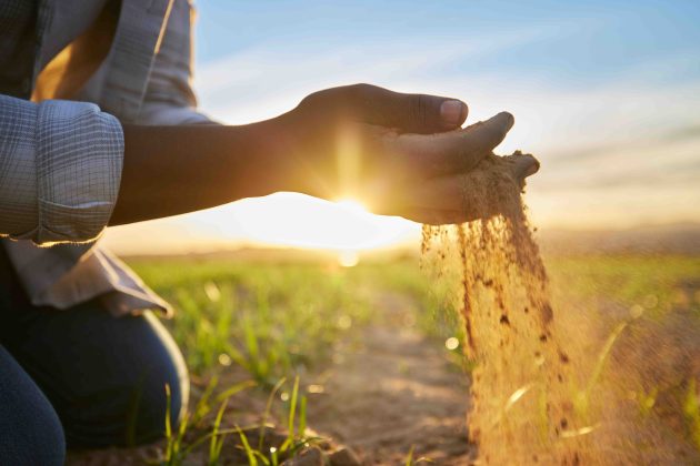 Imagen de manos de agricultor tocando tierra en el campo