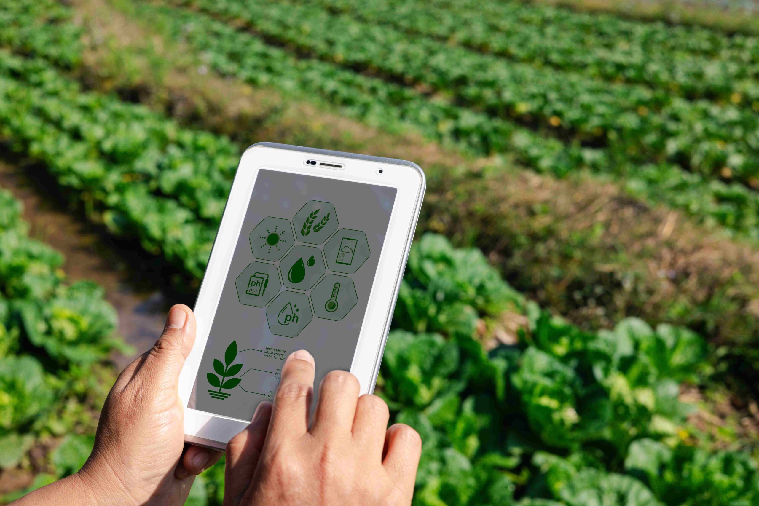 Agricultura de Precisión