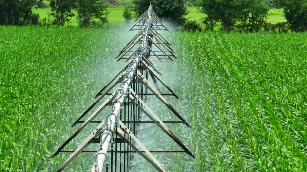 imagen de riego eficiente en cultivos