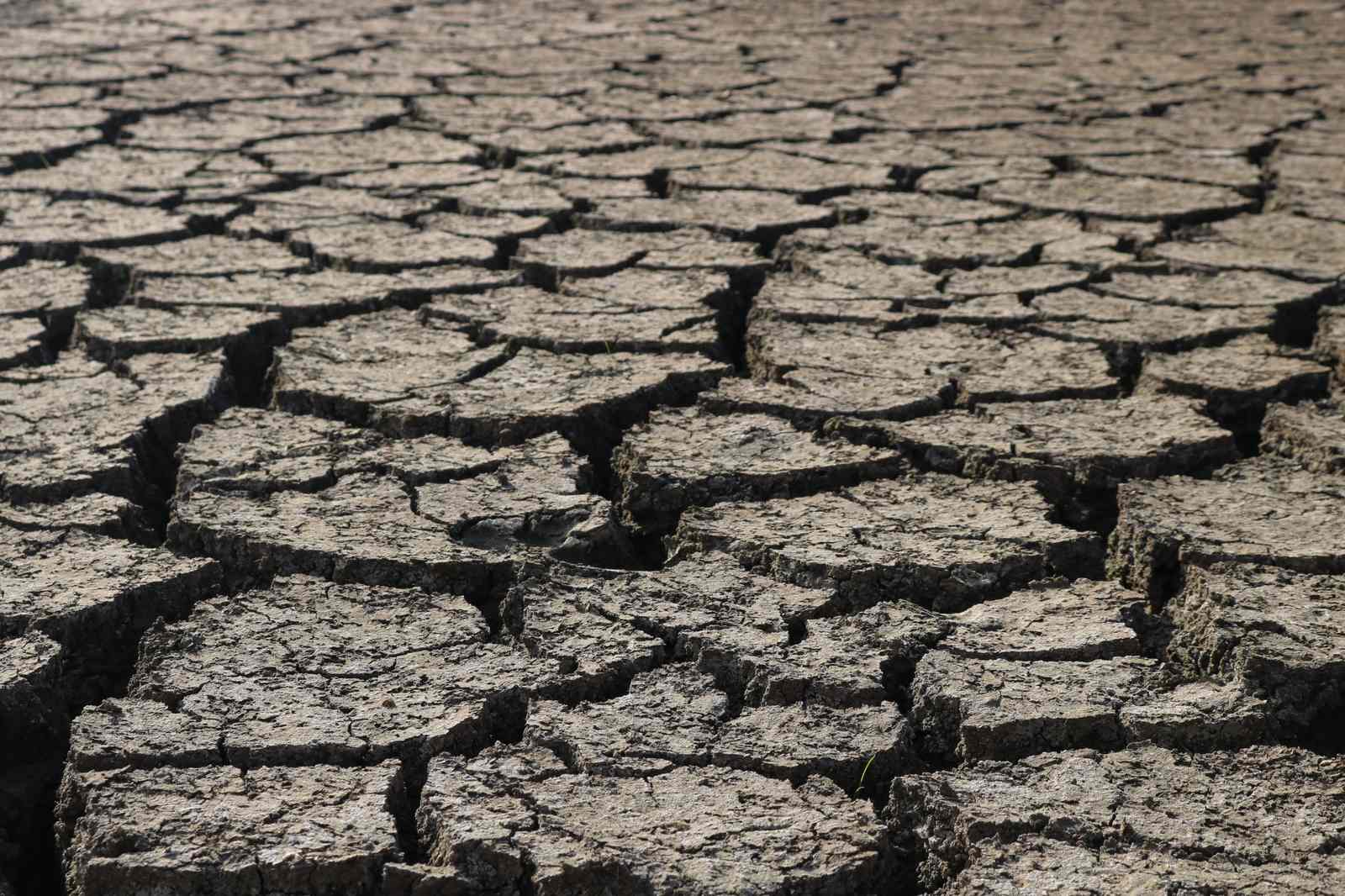 (Suelo agrícola, erosión por lluvias intensas)