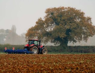 Siembra de otoño