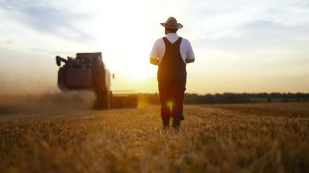 Imagen de agricultor en el campo en otoño